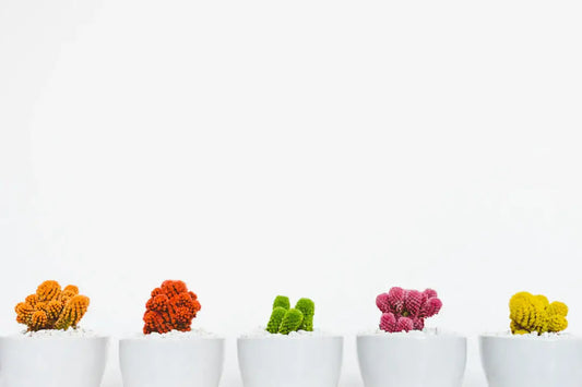 Mindful Eating Savor Your Plant-Based Diet