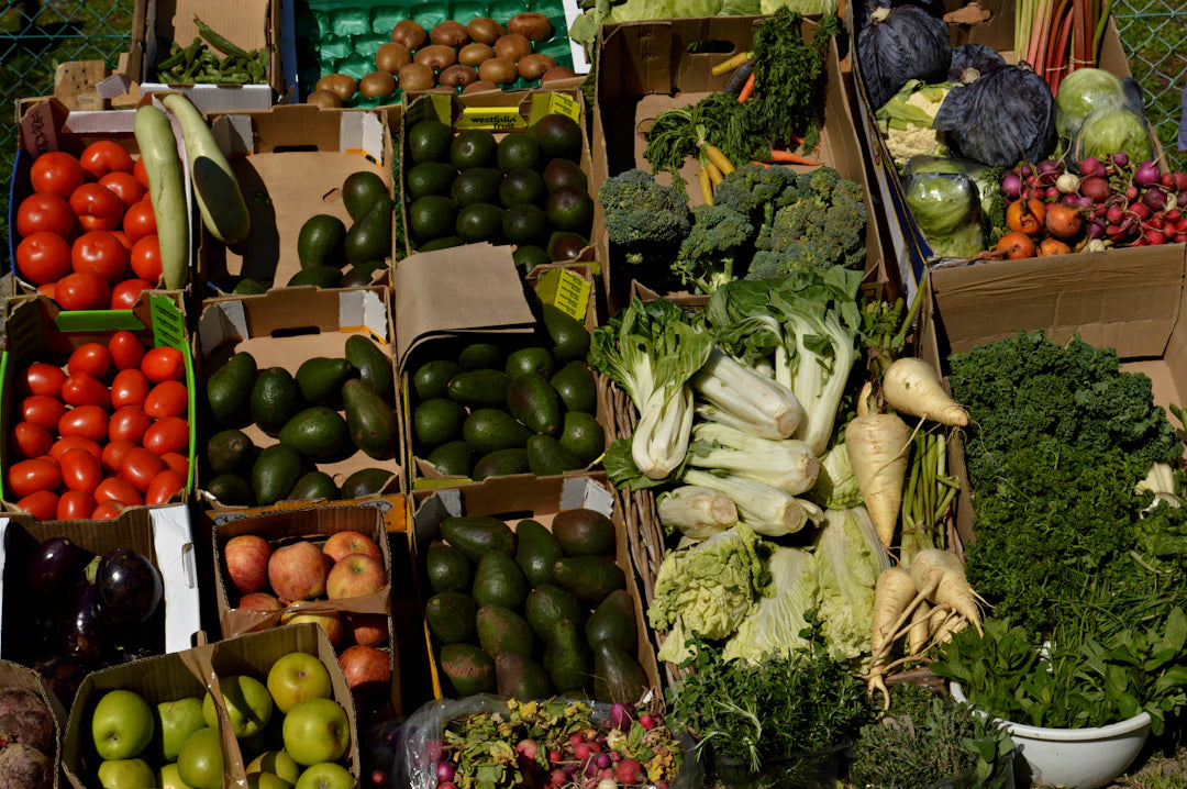 Discovering Global Plant-Based Cuisines