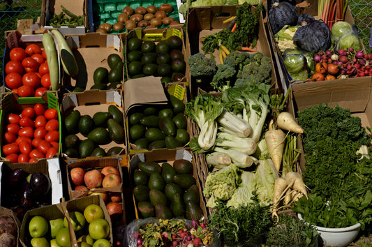 Discovering Global Plant-Based Cuisines