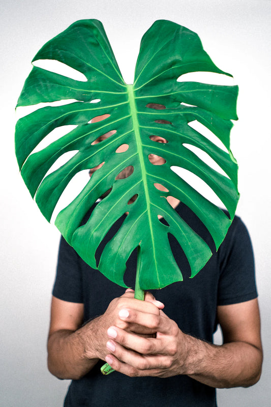 Fuel Your Performance with Plant-Based Nutrition