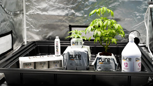 Mastering Plant-Based Food Labels for Healthy Eating