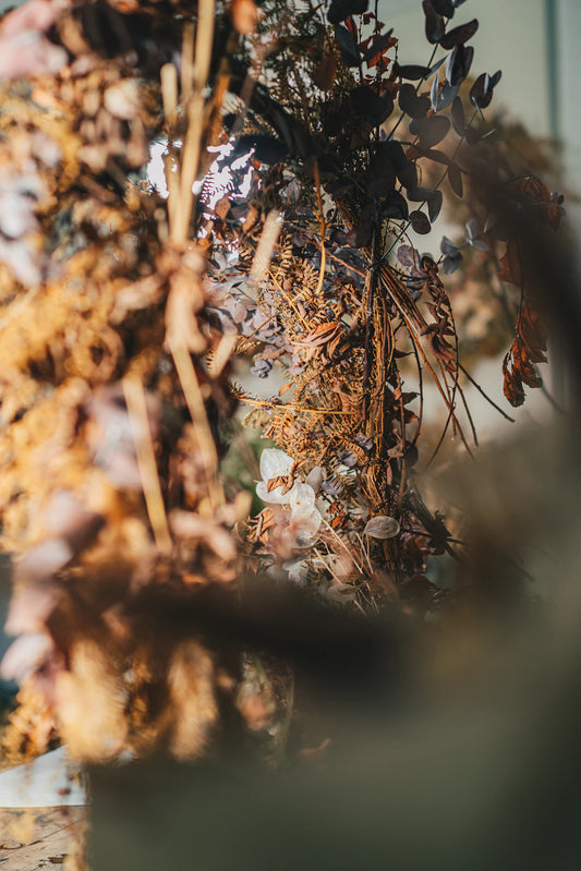 Discovering Plant-Based Cooking Techniques for Beginners