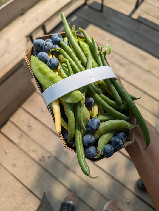 Embrace Seasonal Eating on a Plant-Based Diet