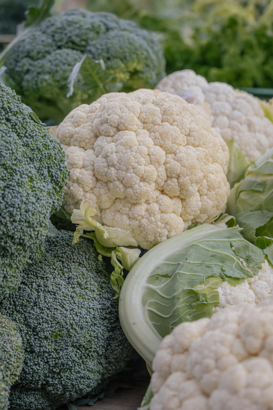 Unveiling the Truth Plant-Based Diet Myths Debunked