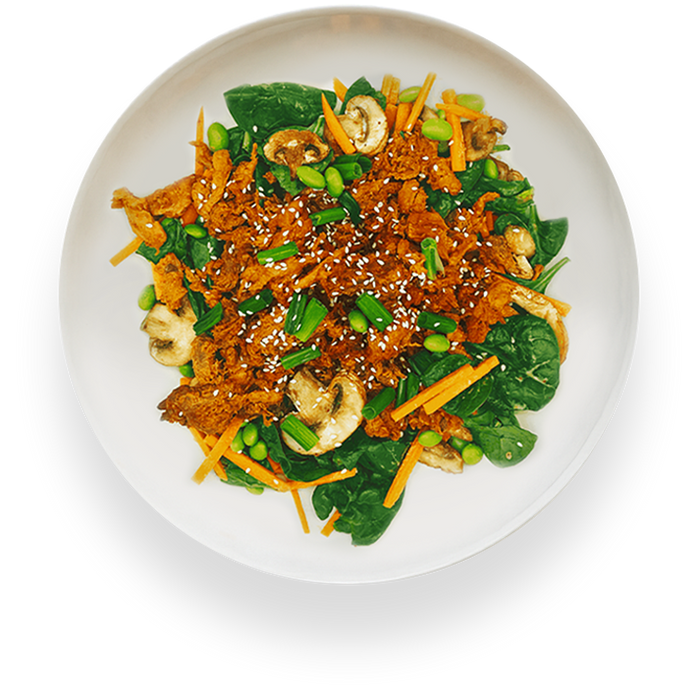 Korean Gochujang 'Beef' — Fiber+ vegan meal
