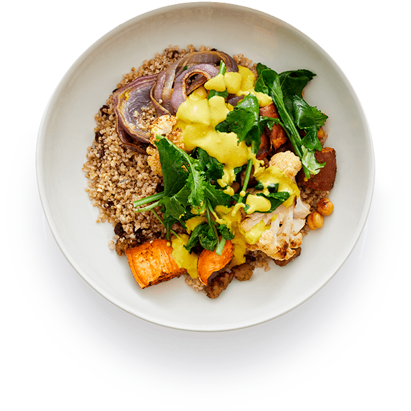 Golden Moroccan Spice — Fiber+ vegan meal